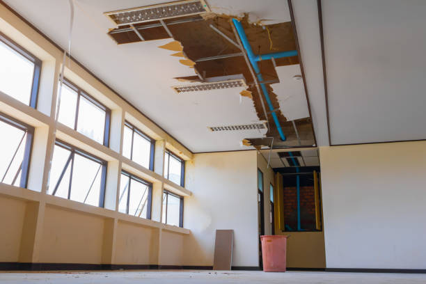 Best Commercial water damage restoration  in Shpee Neck, MA