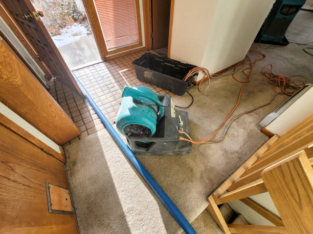  Shpee Neck, MA Water damage restoration Pros