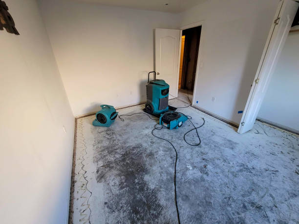 Best 24/7 water damage repair  in Shpee Neck, MA