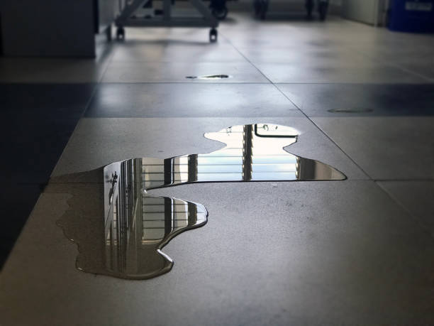 Best Professional water damage repair  in Shpee Neck, MA