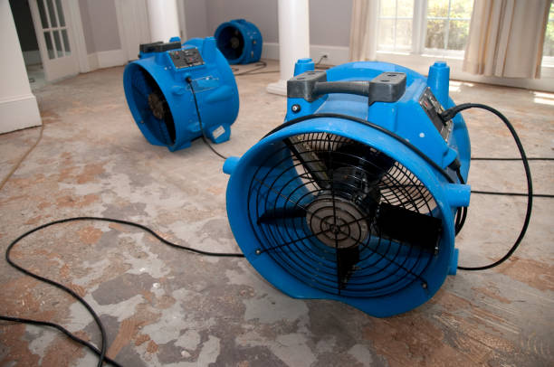 Best Water damage restoration near me  in Shpee Neck, MA