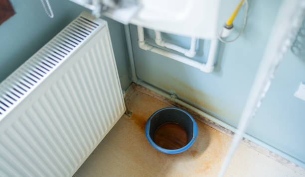 Best Water damage contractors near me  in Shpee Neck, MA