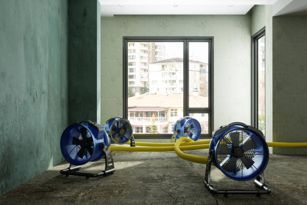 Water damage restoration process in MA